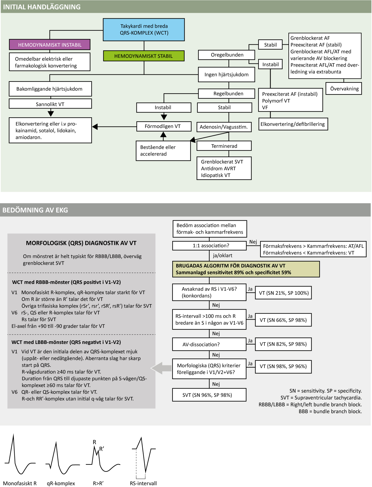 Figur 62. Diagnostik och handläggning av takyarytmi med breda QRS-komplex.