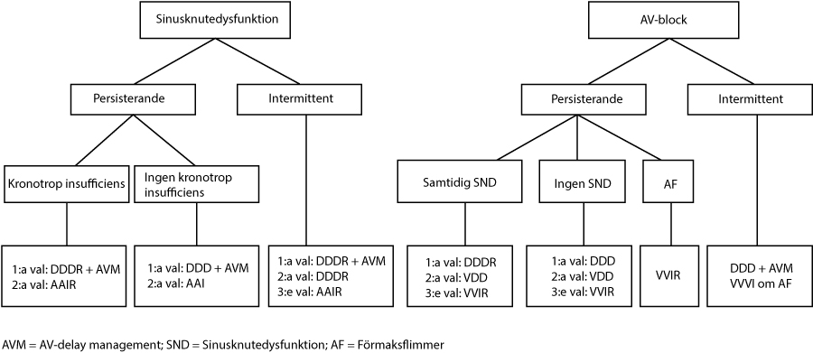 Val av pacemaker